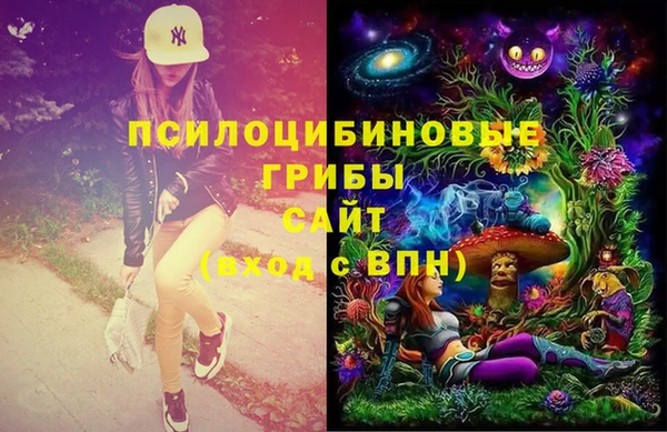 молекула духа Майский