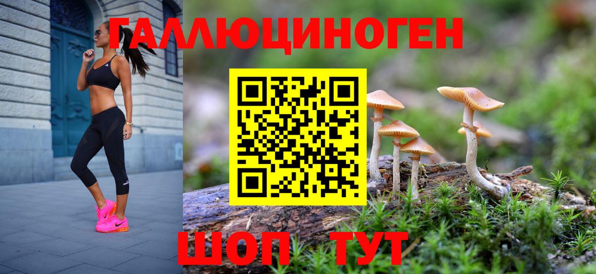 Псилоцибиновые грибы Psilocybine cubensis Чернушка