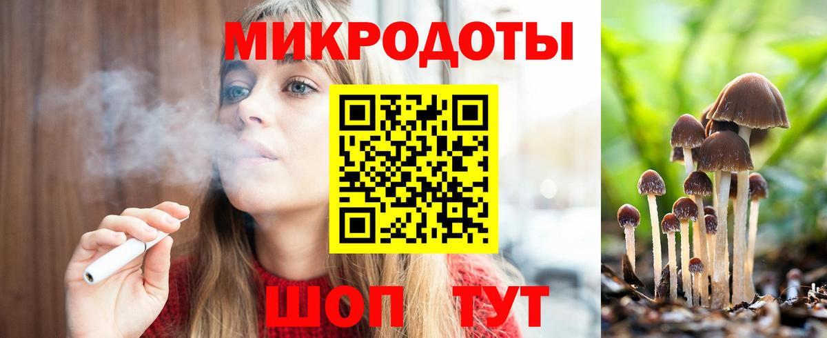 Галлюциногенные грибы Magic Shrooms Чернушка