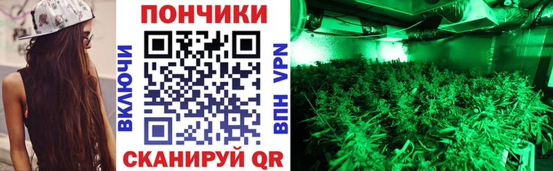 Канабис гибрид  Чернушка 